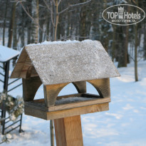 фото из отзыва ID 1301366