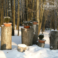 фото из отзыва ID 1301366