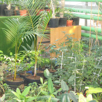 фото из отзыва ID 1301366