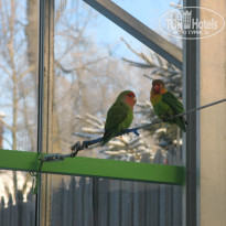 фото из отзыва ID 1301366