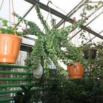 фото из отзыва ID 1301366