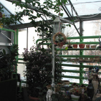 фото из отзыва ID 1301366