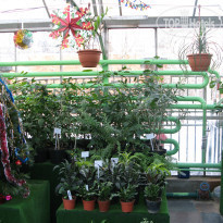 фото из отзыва ID 1301366