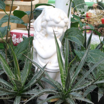 фото из отзыва ID 1301366