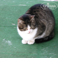 фото из отзыва ID 1301366