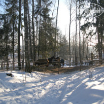 фото из отзыва ID 1301366