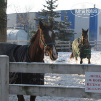 фото из отзыва ID 1301366