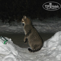 фото из отзыва ID 1301366