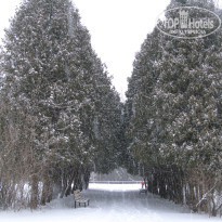 фото из отзыва ID 1301414