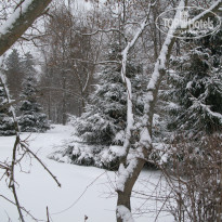 фото из отзыва ID 1301414