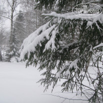 фото из отзыва ID 1301414