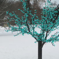 фото из отзыва ID 1301414