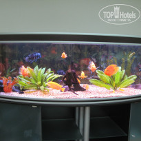 фото из отзыва ID 1301414