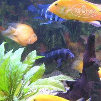 фото из отзыва ID 1301414