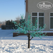 фото из отзыва ID 1301414