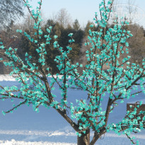 фото из отзыва ID 1301414