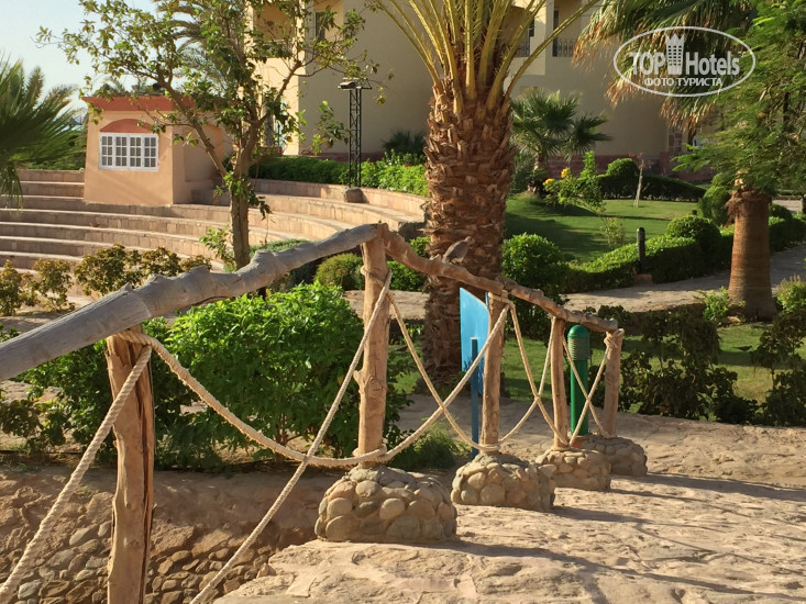 New photos from tourists Blue Reef Red Sea Resort 4*