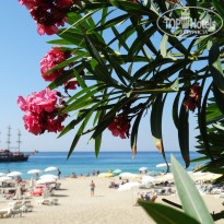 фото из отзыва ID 1301519