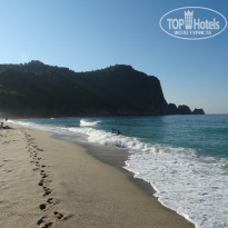 фото из отзыва ID 1301519