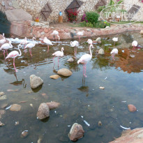 фото из отзыва ID 1301548