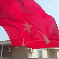 фото из отзыва ID 1301875