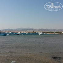 фото из отзыва ID 1301918