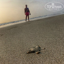 фото из отзыва ID 1301921