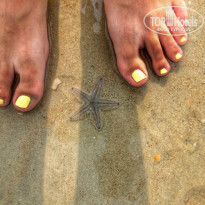 фото из отзыва ID 1301921