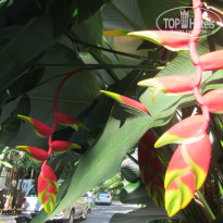 фото из отзыва ID 1301954
