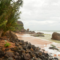 фото из отзыва ID 1301978