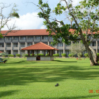 фото из отзыва ID 1301978