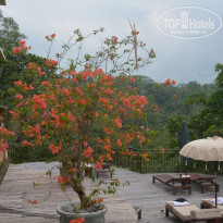 фото из отзыва ID 1302036