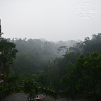 фото из отзыва ID 1302036