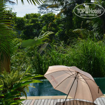 фото из отзыва ID 1302036