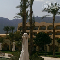 фото из отзыва ID 1302111