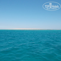 фото из отзыва ID 1302124