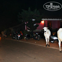 фото из отзыва ID 1302227