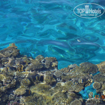 фото из отзыва ID 1302361