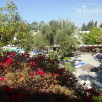 фото из отзыва ID 1302531