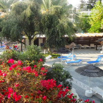 фото из отзыва ID 1302531