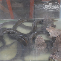 фото из отзыва ID 1302552