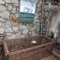 фото из отзыва ID 1302552