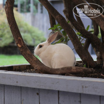 фото из отзыва ID 1302572