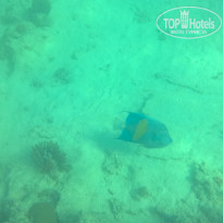 фото из отзыва ID 1302601