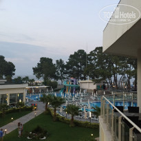 фото из отзыва ID 1302848