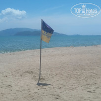 фото из отзыва ID 1302893