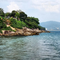 фото из отзыва ID 1302908