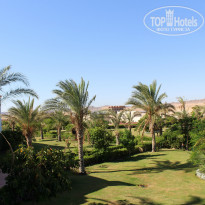 фото из отзыва ID 1302919