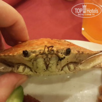 фото из отзыва ID 1303014