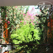 фото из отзыва ID 1302919